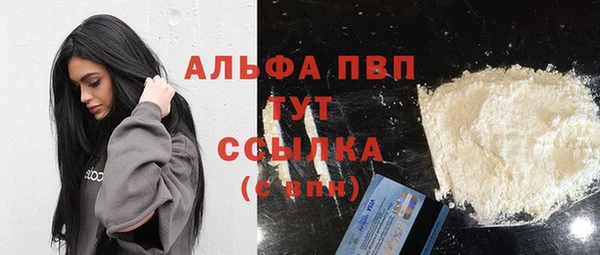 эйфоретик Баксан